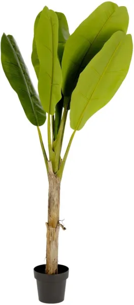 Banano, Kunstpflanze, grün/schwarz, H160x90x90 cm