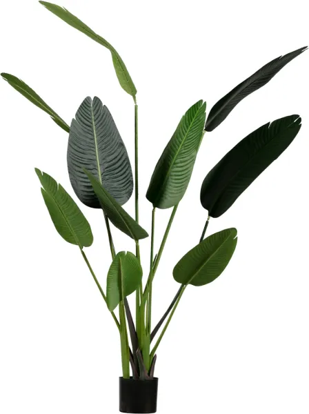 Strelitzia, Künstliche Pflanze, grün, H164x96x63 cm