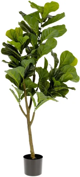 Ficus, Kunstpflanze, grün/schwarz, H150x60x60 cm