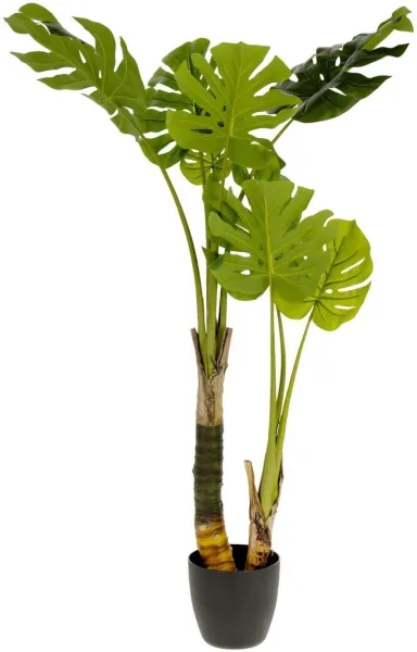 Monstera, Kunstpflanze, grün/schwarz, H130x60x60 cm